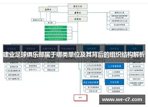 建业足球俱乐部属于哪类单位及其背后的组织结构解析