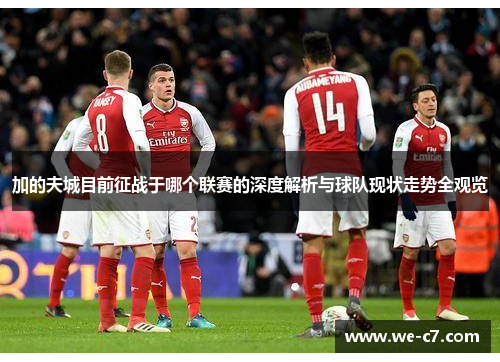加的夫城目前征战于哪个联赛的深度解析与球队现状走势全观览